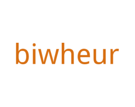 BIWHEUR 第25类服装鞋帽商标图样