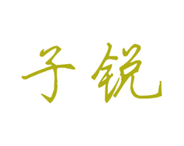子锐 第25类服装鞋帽商标图样