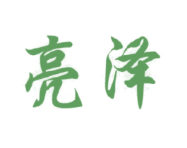 亮泽 第12类运输工具商标图样