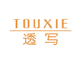 透写 第3类化妆品商标图样
