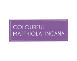 COLOURFUL MATTHIOLA INCANA 第3类化妆品商标图样