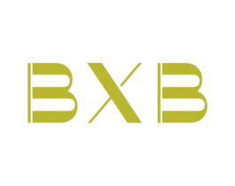 BXB 第2类颜料油漆商标图样