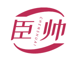 臣帅 第2类颜料油漆商标图样