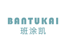 班涂凯 第2类颜料油漆商标图样
