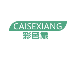 彩色象 第2类颜料油漆商标图样