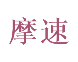 摩速 第2类颜料油漆商标图样
