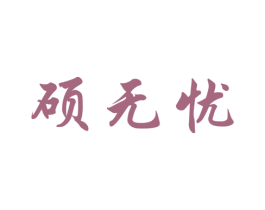 硕无忧 第1类化学原料商标图样
