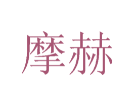 摩赫 第17类橡胶制品商标图样