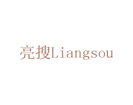 亮搜 第12类运输工具商标图样