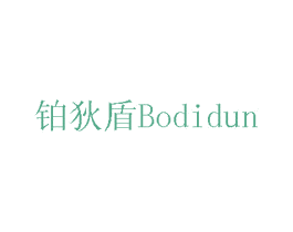 铂狄盾 第11类家用电器商标图样