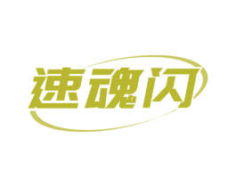 速魂闪 第9类科学仪器商标图样