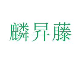 麟昇藤 第25类服装鞋帽商标图样