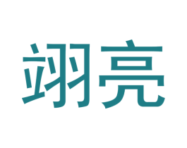 翊亮 第9类科学仪器商标图样