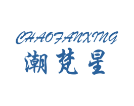 潮梵星 第27类地毯席垫商标图样