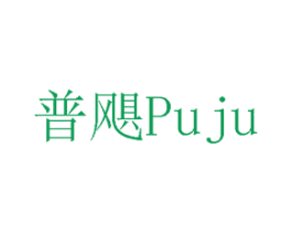 普飓 第10类医疗器械商标图样