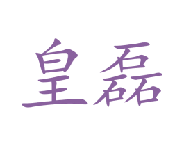 皇磊 第26类花边配饰商标图样