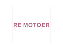 RE MOTOER 第9类科学仪器商标图样