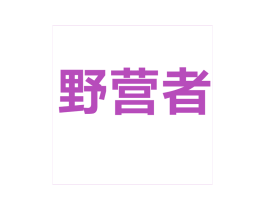 野营者 第28类体育玩具商标图样