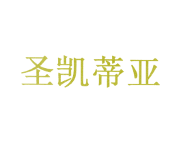 圣凯蒂业 第10类医疗器械商标图样