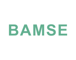 BAMSE 第21类厨房洁具商标图样