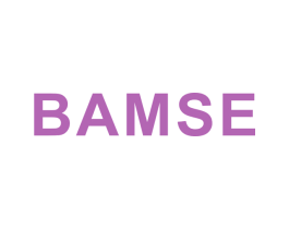 BAMSE 第5类医药商标图样