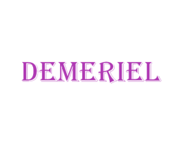 DEMERIEL 第18类皮革箱包商标图样