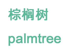 棕榈树  PALMTREE 第26类花边配饰商标图样