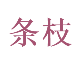 条枝 第25类服装鞋帽商标图样