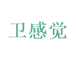 卫感觉 第25类服装鞋帽商标图样