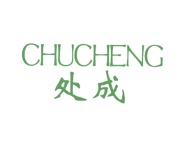 处成 第25类服装鞋帽商标图样