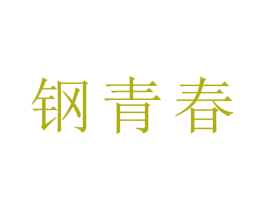 钢青春 第21类厨房洁具商标图样