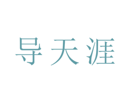 导天涯 第9类科学仪器商标图样