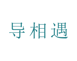导相遇 第9类科学仪器商标图样