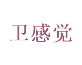 卫感觉 第5类医药商标图样
