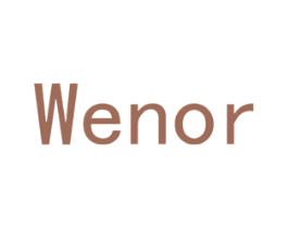WENOR 第15类乐器商标图样