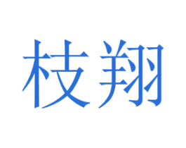 枝翔 第28类体育玩具商标图样
