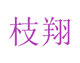 枝翔 第27类地毯席垫商标图样