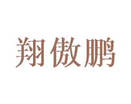 翔傲鹏 第9类科学仪器商标图样