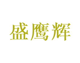 盛鹰辉 第9类科学仪器商标图样