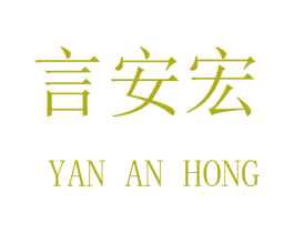 言安宏 第9类科学仪器商标图样