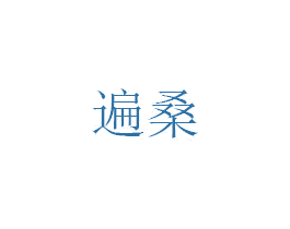 遍桑 第25类服装鞋帽商标图样