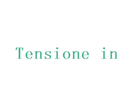 TENSIONE IN 第21类厨房洁具商标图样