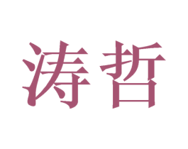 涛哲 第21类厨房洁具商标图样