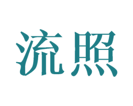 流照 第18类皮革箱包商标图样