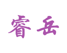 睿岳 第9类科学仪器商标图样