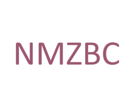 NMZBC 第9类科学仪器商标图样