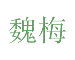 魏梅 第29类食品商标图样