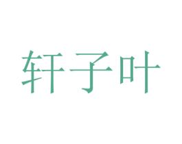 轩子叶 第9类科学仪器商标图样
