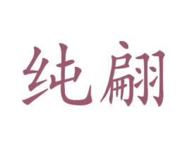 纯翩 第25类服装鞋帽商标图样
