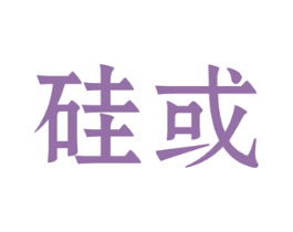 硅或 第9类科学仪器商标图样
